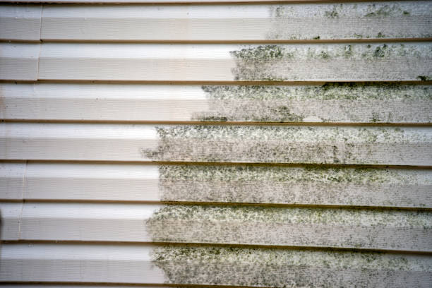 Best Demolition Debris Removal  in Nevada City, CA